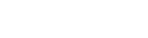 LogoTypeWhite 1